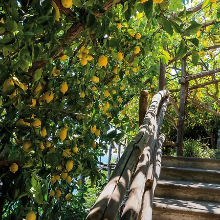 Santa Caterina 5* Amalfi