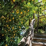 Santa Caterina 5* Amalfi